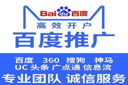 成功SEM服务案例分析报告